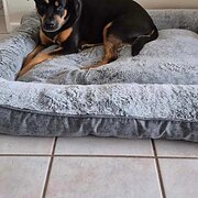 Home Owner wanting sitter in , Western Australia