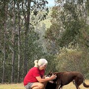 Home Owner wanting sitter in Casino , New South Wales