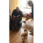 House Sitter - School Counsellor