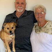 House Sitter - The Wanderers