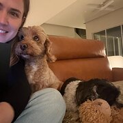 House Sitter - Friendly & reliable remote worker