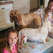 Home Owner wanting sitter in Gold Coast, Queensland