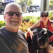 House Sitter - Handall House Sitters