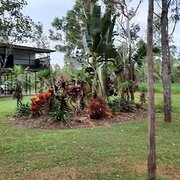 Home Owner wanting sitter in , Northern Territory