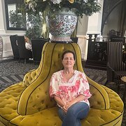 House Sitter - Calm house proud pet lover. 