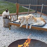 Home Owner wanting sitter in Canberra , New South Wales