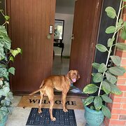 Home Owner wanting sitter in Perth, Western Australia