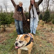 House Sitter - Trustworthy Aussie House Sitter- Bethany