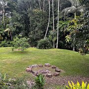 Home Owner wanting sitter in Ballina , New South Wales