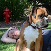 House Sitter - Retired Couple Who Love Pets & Gardens