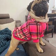 Home Owner wanting sitter in Townsville , Queensland