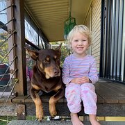 Home Owner wanting sitter in , New South Wales