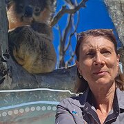 House Sitter - Seasoned Housesitter