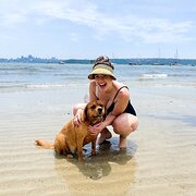 House Sitter - Wholehearted Housesitting