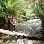 House Sitter - no place like (your) home