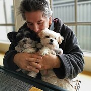 Home Owner wanting sitter in Geelong , Victoria