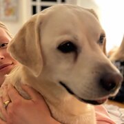 Home Owner wanting sitter in Newcastle, New South Wales