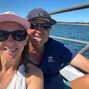 House Sitter - Tasmanian house sits 15/2 to 11/4