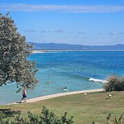 Home Owner wanting sitter in Coffs Harbour or Port Macquarie , New South Wales