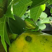 House Sitter - John + Kerry