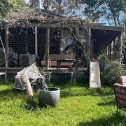 Home Owner wanting sitter in , Victoria