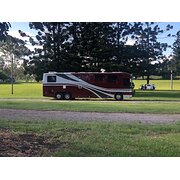 House Sitter - House sitters