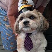 Home Owner wanting sitter in Nowra, New South Wales