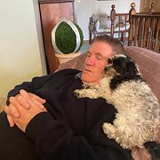 Home Owner wanting sitter in Adelaide, South Australia