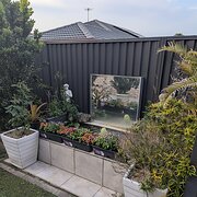 Home Owner wanting sitter in Brisbane, Queensland