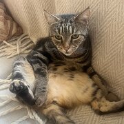 Home Owner wanting sitter in Perth, Western Australia