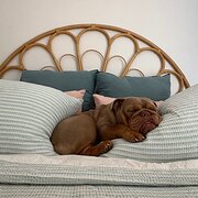 Home Owner wanting sitter in , Queensland