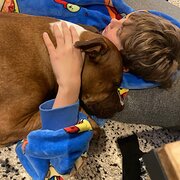 Home Owner wanting sitter in , Western Australia