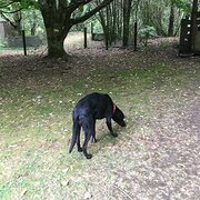 Home Owner wanting sitter in MELBOURNE, Victoria