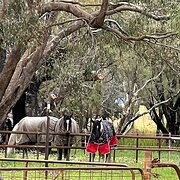 Home Owner wanting sitter in Mandurah , Western Australia