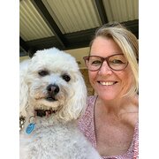 House Sitter - Experienced Home & Anxious Pet Sitter
