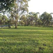 Home Owner wanting sitter in , Queensland