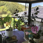 Home Owner wanting sitter in , New South Wales