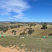 Home Owner wanting sitter in , South Australia