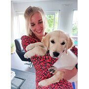 House Sitter - Trustworthy Dutch Housesitter