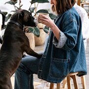 House Sitter - Reliable & responsible local dog lover