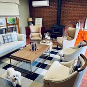 Home Owner wanting sitter in Melbourne, Victoria