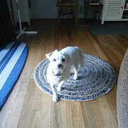 Home Owner wanting sitter in Coffs Harbour, New South Wales