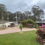 Home Owner wanting sitter in Launceston, Tasmania