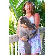 House Sitter - Caring and reliable Home + Pet Sitter