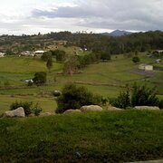 Home Owner wanting sitter in Brisbane, Queensland