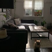 Home Owner wanting sitter in , New South Wales