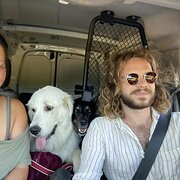 House Sitter - Experienced home/farm/pet carer