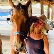 House Sitter - Responsible and Caring House/Pet Sitter