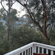 Home Owner wanting sitter in Melbourne , Victoria