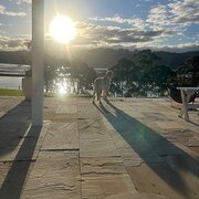 Home Owner wanting sitter in Cradoc, Tasmania